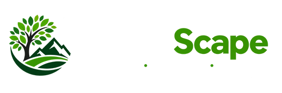 San Diego Lawn Care & Landscaping Services